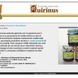 quirinus-art-image-promotion