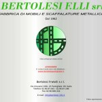 bertolesi-assistenza-carrelli-elevatori-sas
