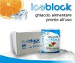 iceblock-s-r-l-s