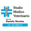 messina-dott-ssa-daniela-medico-veterinario