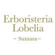 erboristeria-lobelia