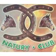 scuola-di-equitazione-natury-club---maneggio