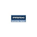praxi-intellectual-property-spa