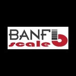 banfi-scale