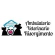 ambulatorio-veterinario-risorgimento