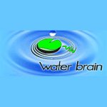 water-brain