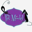 pet-model-toeletta-ed-accessori-per-animali