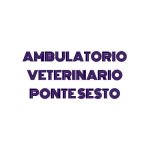ambulatorio-veterinario-ponte-sesto