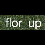 fiori-flor-up