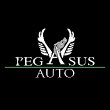 pegasus-auto-vendita-noleggio