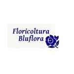 floricoltura-bluflora