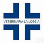 ambulatorio-associato-veterinaria-la-loggia
