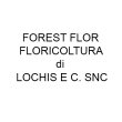 forest-flor-floricoltura