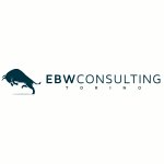 ebw-consulting