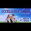 uccelleria-2000---madagascarshop-it