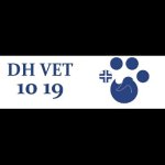 ambulatorio-veterinario-dh-vet-10-19