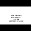 ambulatorio-veterinario-cattai-dott-ssa-susanne
