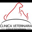 clinica-veterinaria-cavalli-dr-federico