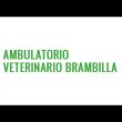 ambulatorio-veterinario-brambilla