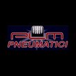 plm-pneumatici
