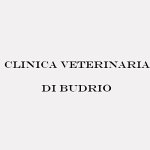 clinica-veterinaria-di-budrio