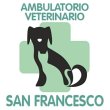 ambulatorio-veterinario-san-francesco-della-dr-ssa-martina-marioni