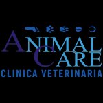 animal-care-clinica-veterinaria