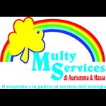 multy-service
