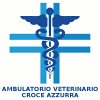 ambulatorio-veterinario-croce-azzurra