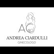 dr-andrea-ciardulli---ginecologia---ostetricia---pma