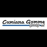 cumiana-gomme-group