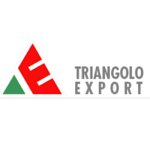 triangolo-export