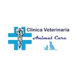 clinica-veterinaria-animal-care