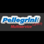 pellegrini-group-multiservice-auto
