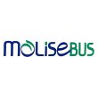 molise-bus