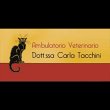 ambulatorio-veterinario-dott-sse-carla-tacchini-e-julianna-boldizzoni