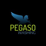 pegaso-washing-autolavaggio-a-domicilio