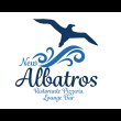 new-albatros