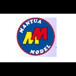 mantua-model