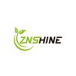znshine-italia