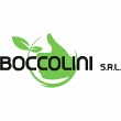boccolini-srl