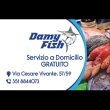 damy-fish