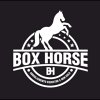 box-horse-equitazione