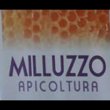 apicoltura-biologica-milluzzo