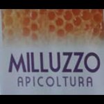 apicoltura-biologica-milluzzo