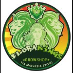 flora-kings-grow-shop-head-shop-seed-shop-canapaio-trento