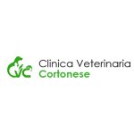 clinica-veterinaria-cortonese