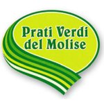 prati-verdi-del-molise