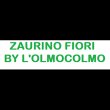 zaurino-fiori-by-l-olmocolmo