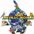 animal-world-pet-house